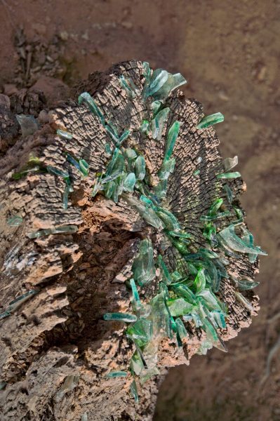 Impression of the conquerers’ weapon, shards of glass, branches and tree stumps, installed on the mountain, 2015